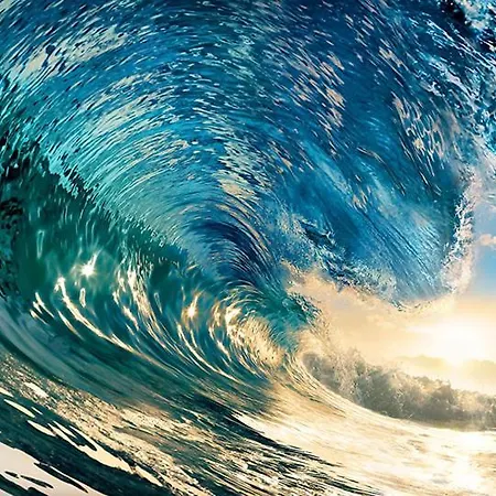 Color Sea Sunny Center Апартаменты Солнечный берег